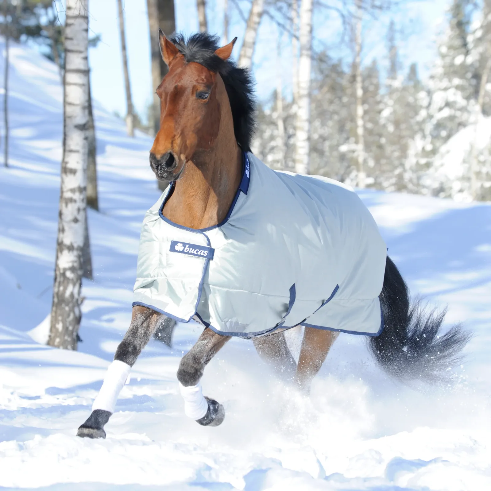 Bucas Power All-In-One Classic Heavyweight Turnout Blanket