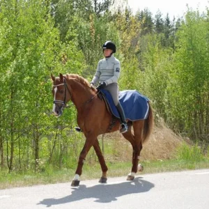 Bucas Riding Rug Navy