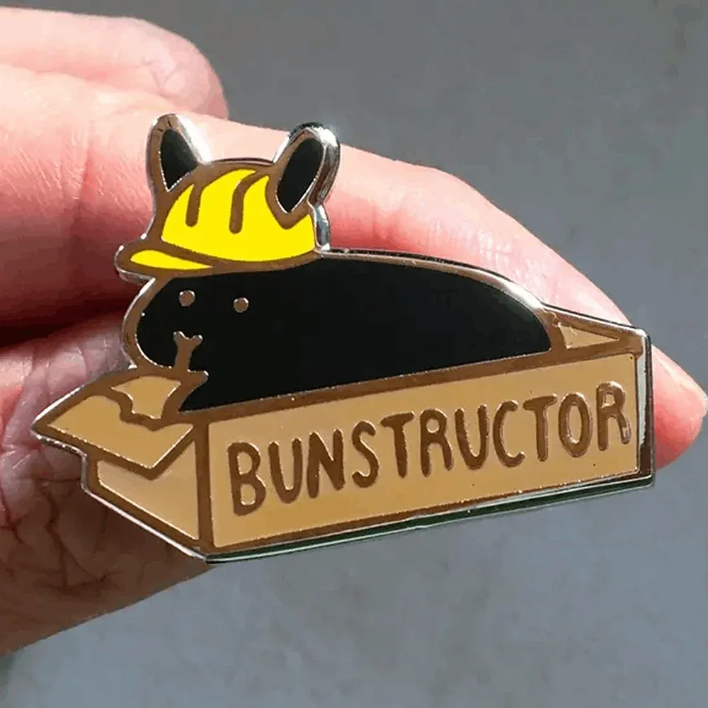 Bunstructor PIN