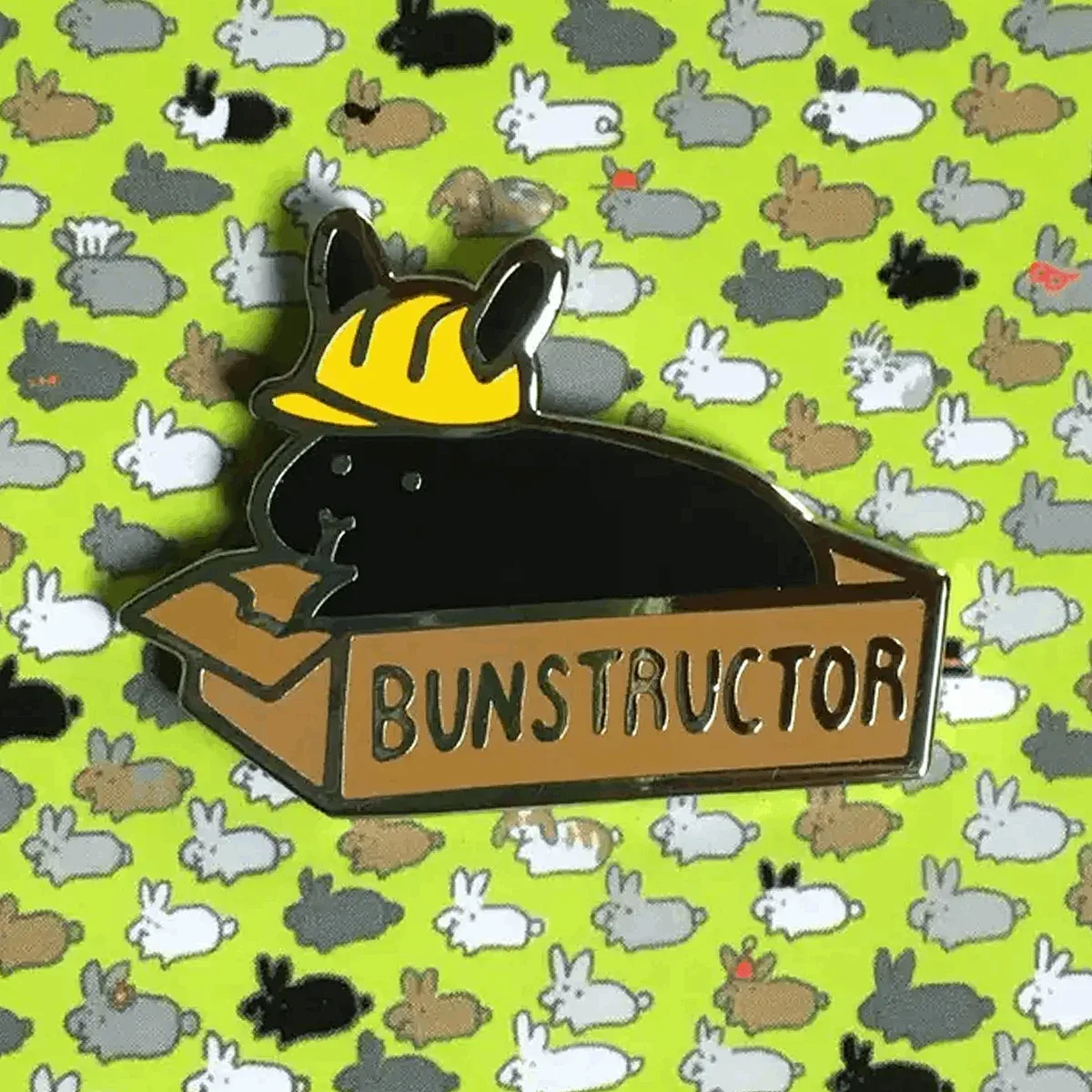 Bunstructor PIN - Image 2
