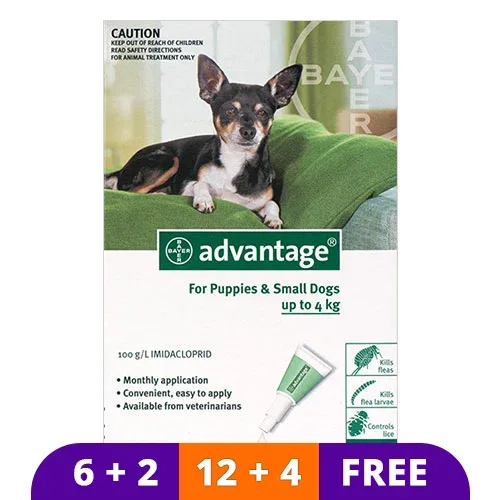 Buy Advantage for Dogs: Best Topical Flea Treatment Online - Image 2