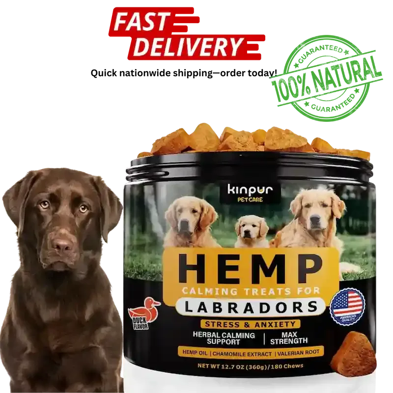 Calming Chews for Labrador Dogs with Valerian Root and Hemp Oil Aid