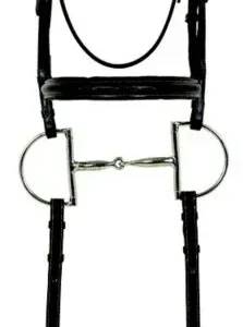 Camelot Fancy Raised Bridle