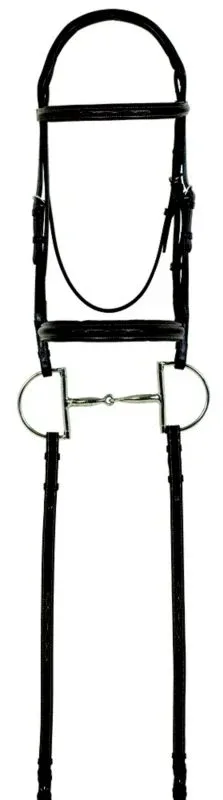 Camelot Fancy Raised Bridle