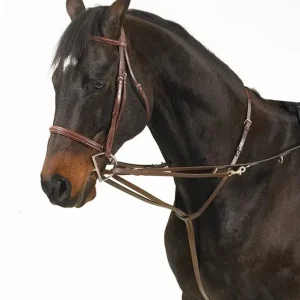 Camelot German Martingale Rein
