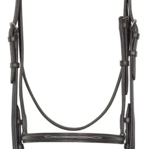 Camelot Raised Fancy Stitched Bridle