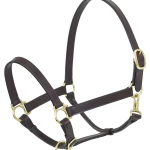 Camelot Stable Halter Draft Brn