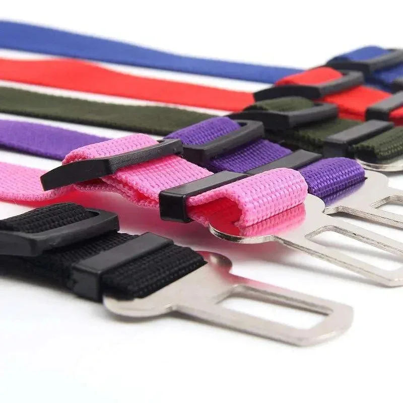 Car Seatbelt - Image 2