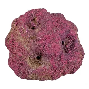 CaribSea LifeRock Frag Garden 3 Hole