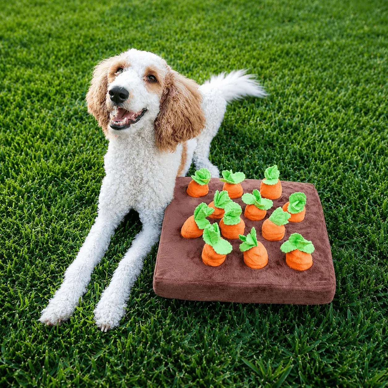 Carrot Garden Interactive Treat-Hiding Toy for Dogs - Image 2