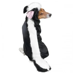 Casual Canine Lil' Stinker Custom x