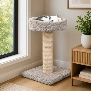 Cat Scratching Post with Bed | Compact Solid Wood Scratcher for Everyday Use