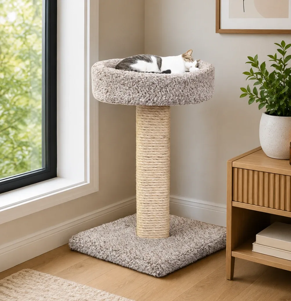 Cat Scratching Post with Bed | Compact Solid Wood Scratcher for Everyday Use