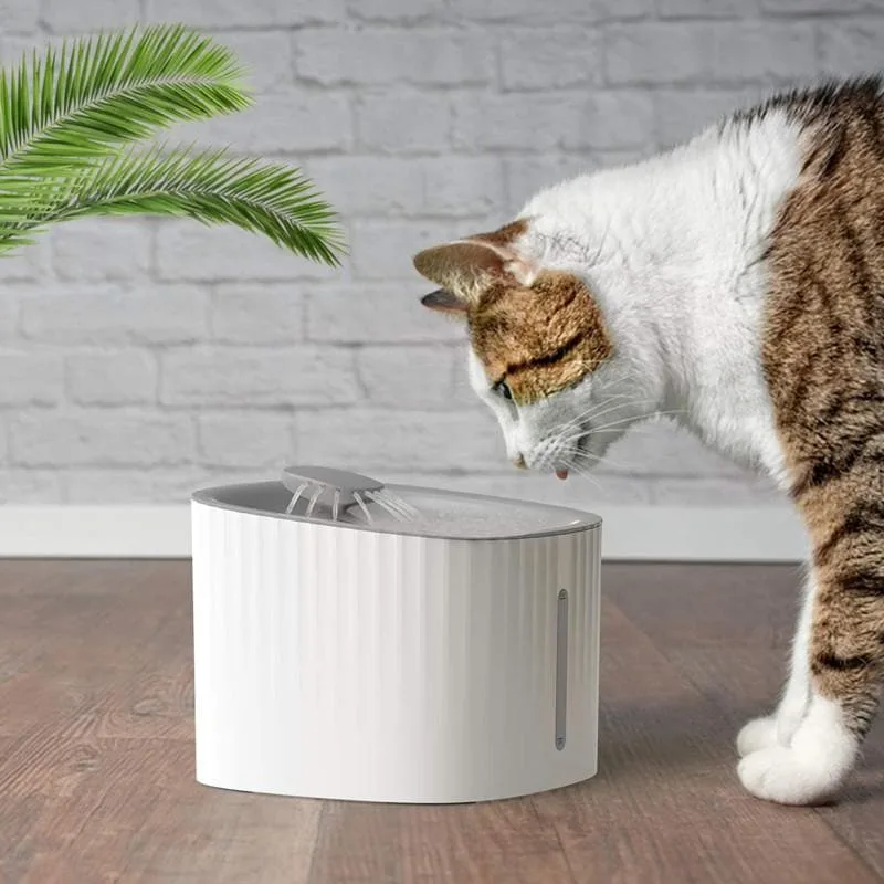 Cat Water Fountain Bundle - Image 2