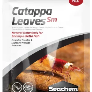 Catappa Leaves