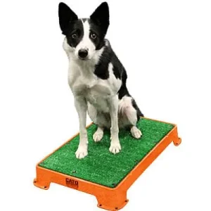 Cato Board Training Platform