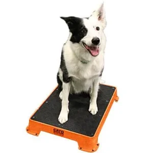 Cato Board Training Platform