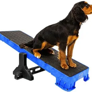Cato Plank XL Training Platform with Tilt Stand