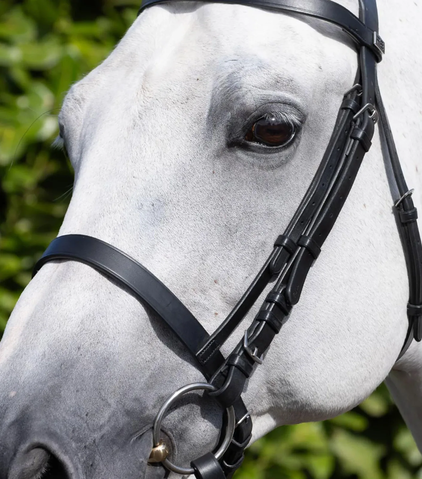 Cavesson Noseband for Racing Bridle Black - Image 2