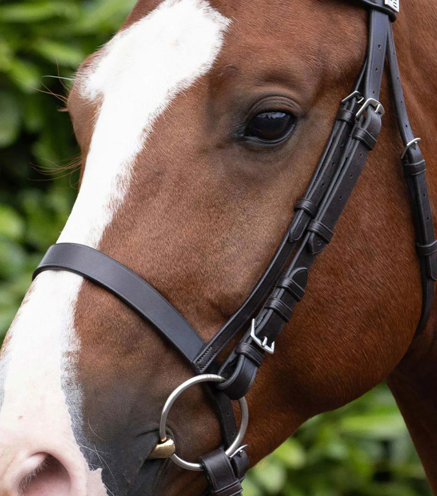 Cavesson Noseband for Racing Bridle Dark Havana - Image 2