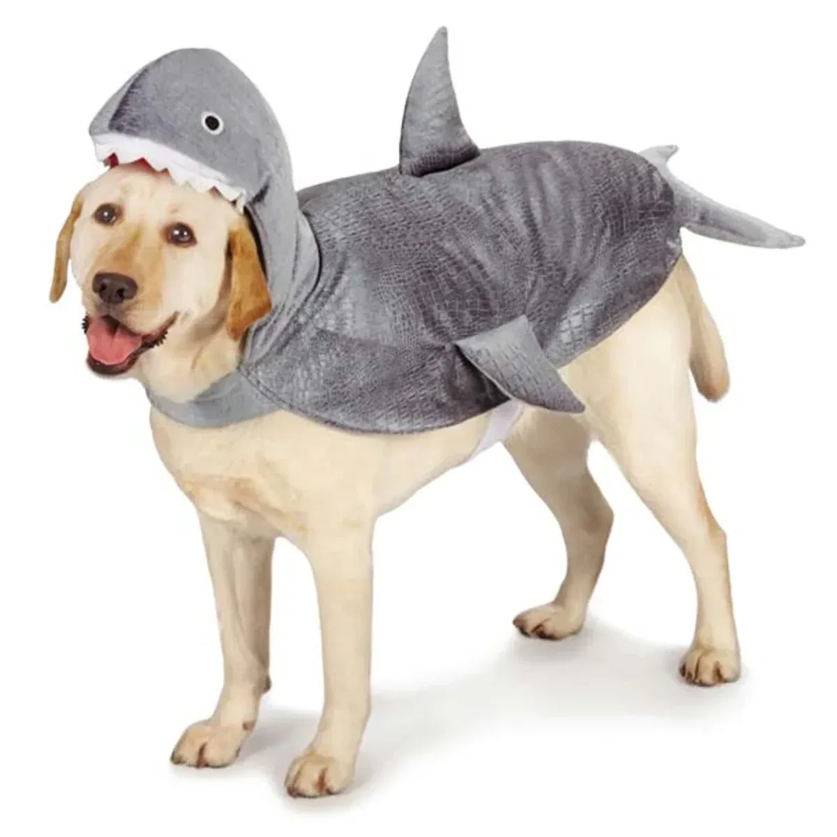 CC Shark Costume - Image 2
