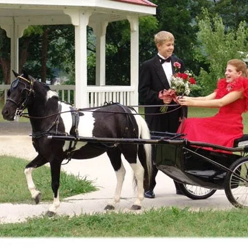 CDE Mini/Pony Formal Driving Harness - Image 2