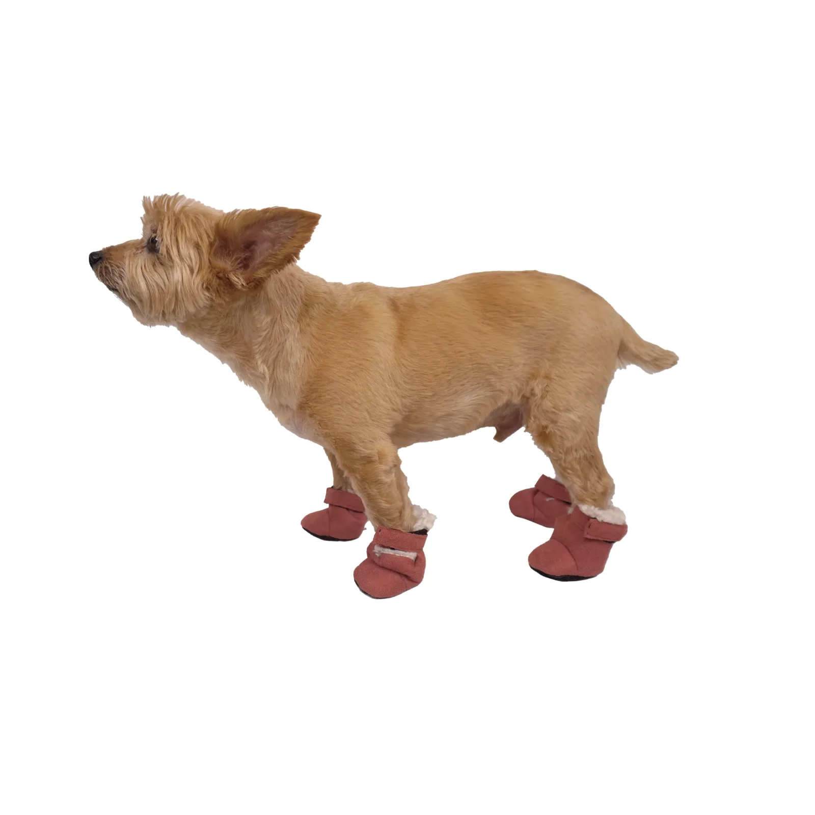 Celebrations 4pk Pink Ultra Suede Booties - Image 2