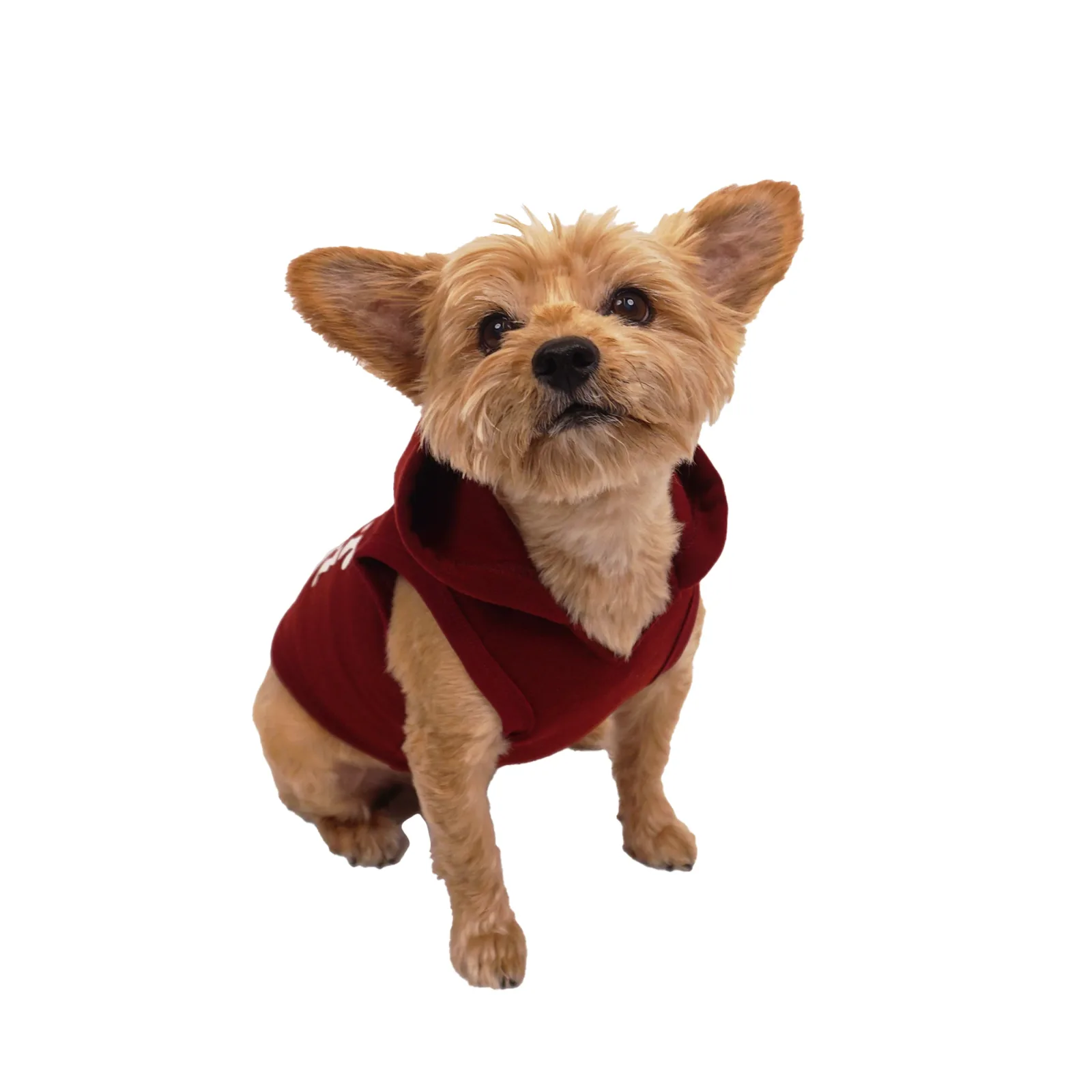 Celebrations Fur Ever Wild Dog Hoodie - Image 2