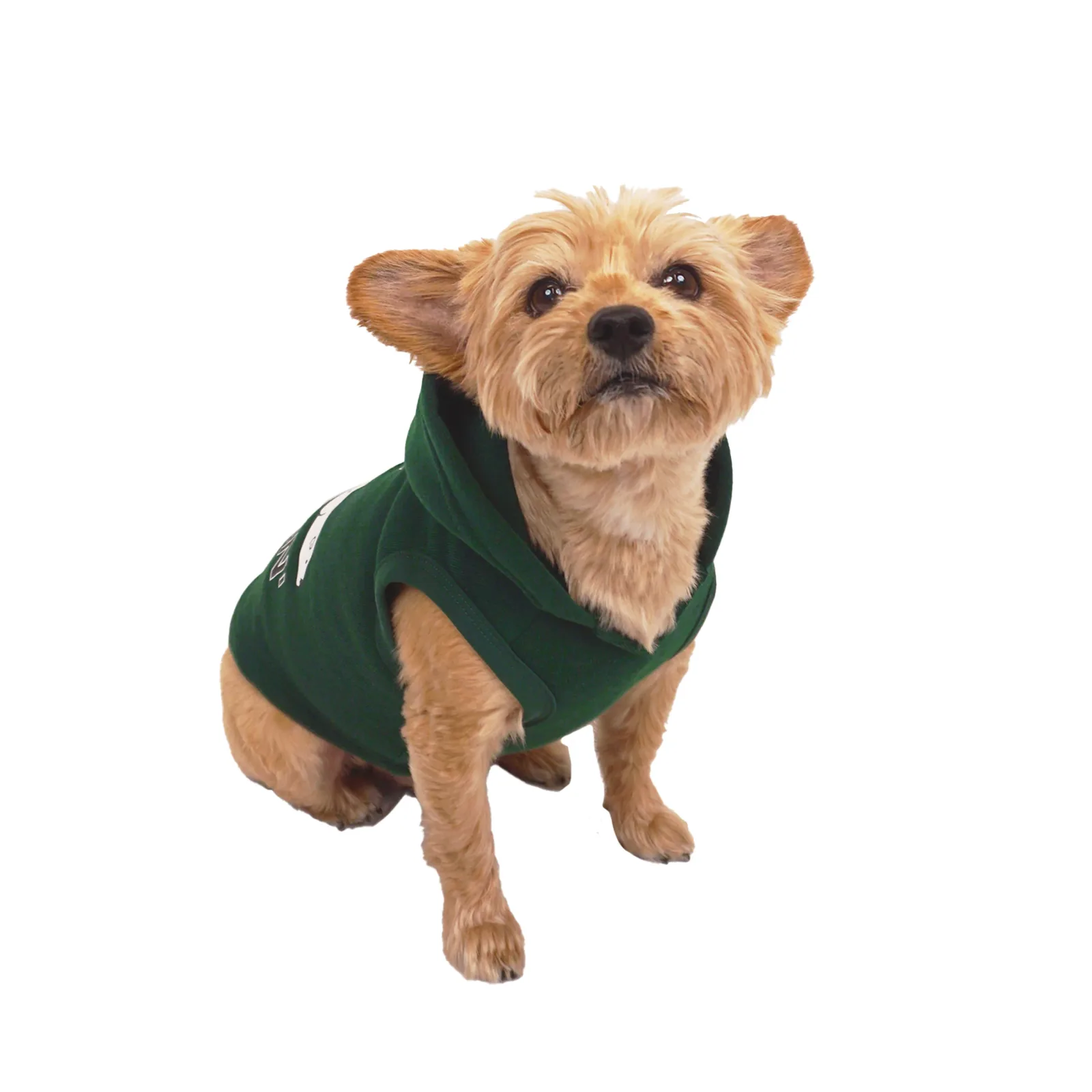 Celebrations Just Chillin Dog Hoodie - Image 2