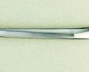 Centaur Ladies Stainless Steel Pow SpurBk/Wh