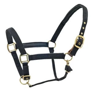 Centaur Super Padded Comfort Halter