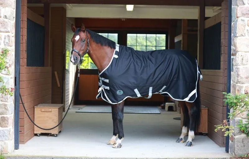 Centaur TG3 Horse Blanket - Image 2