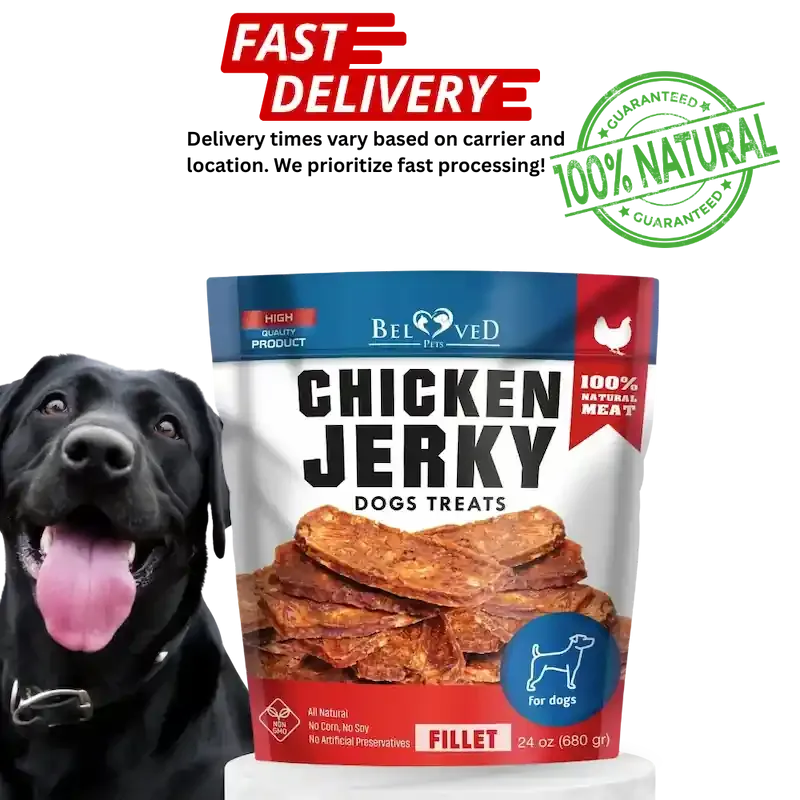 Chicken Jerky Dog Treats 1.5 Lb Human Grade Pet Snacks Grain Free