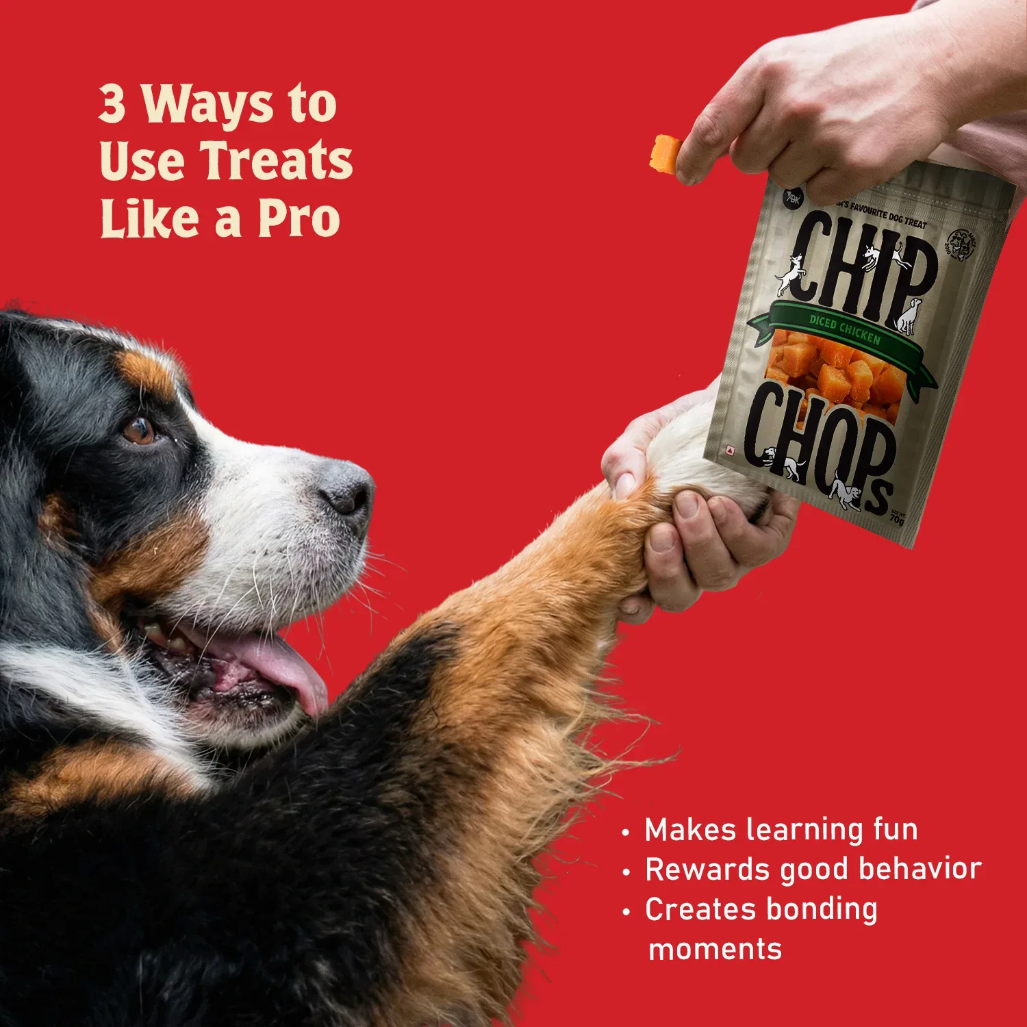 Chip Chops Diced Chicken Dog Treats - Image 2