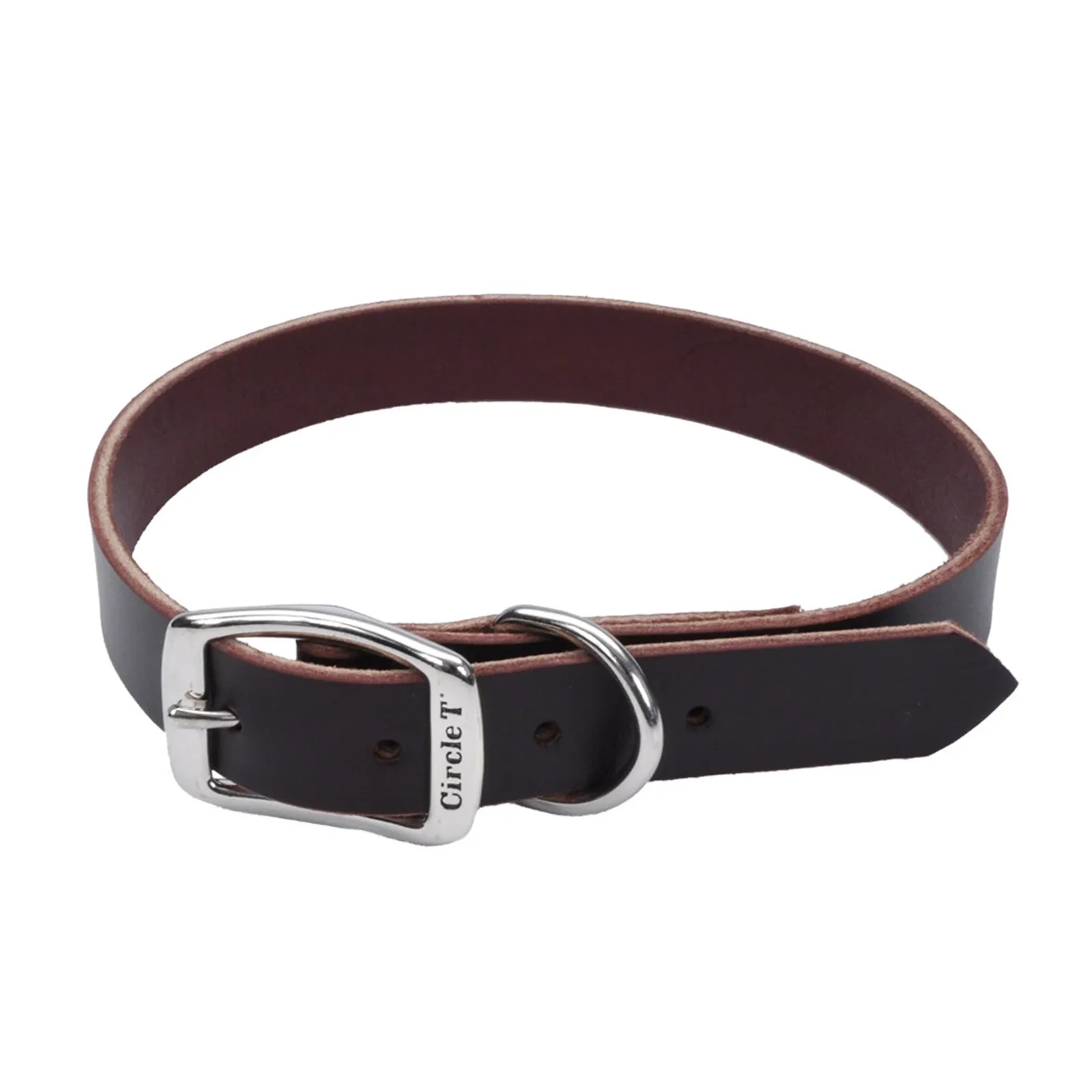 Circle T® Latigo Leather Town Dog Collar, Small