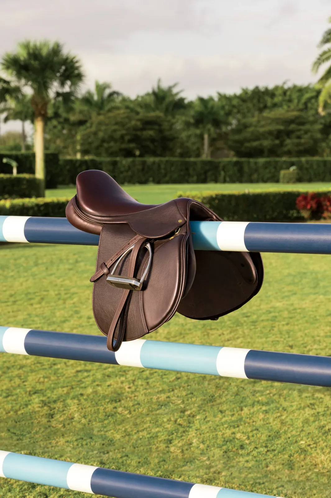 Circuit™ Debut Saddle - Image 2