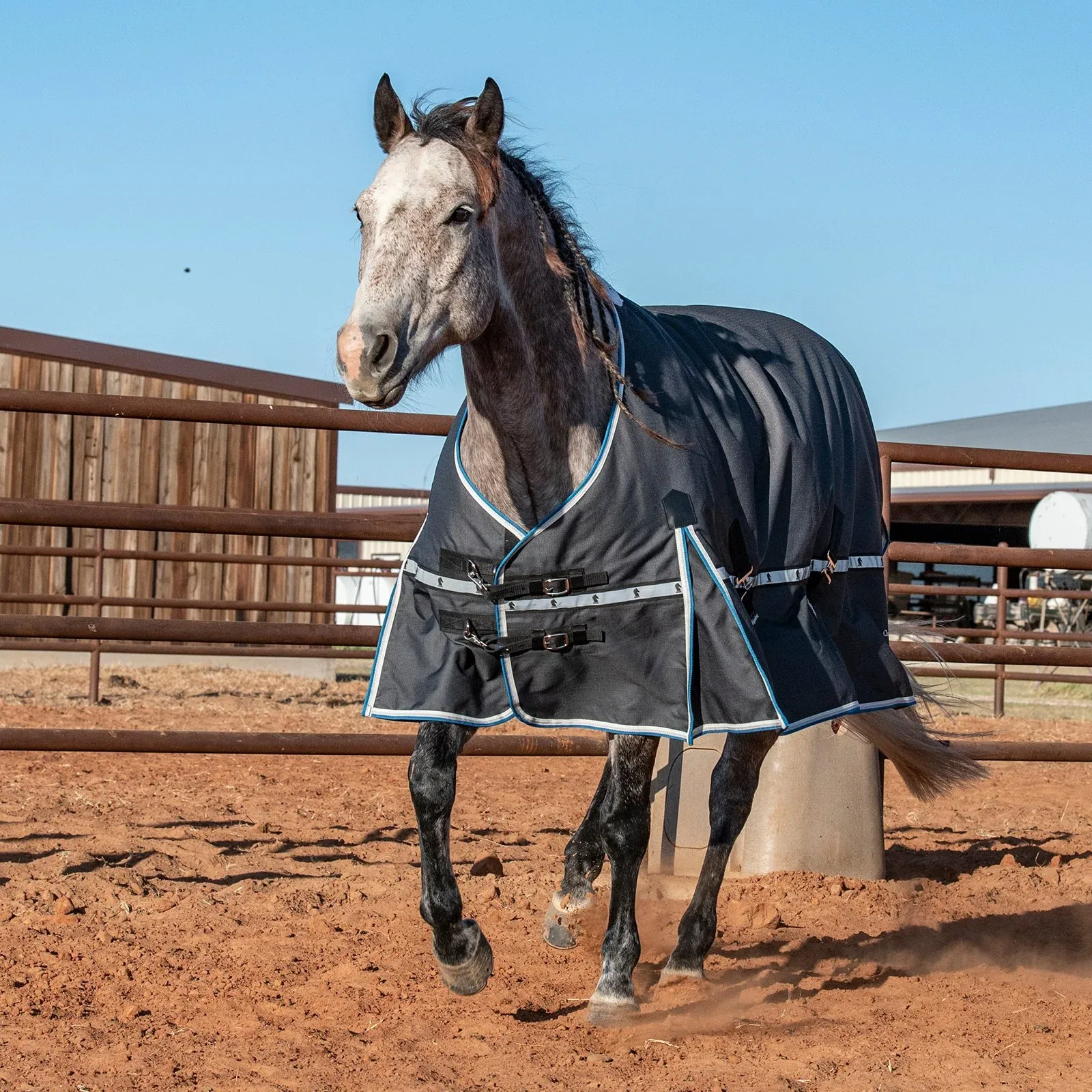 Classic Charcoal 5k Trainer Winter Horse Blanket - Image 2