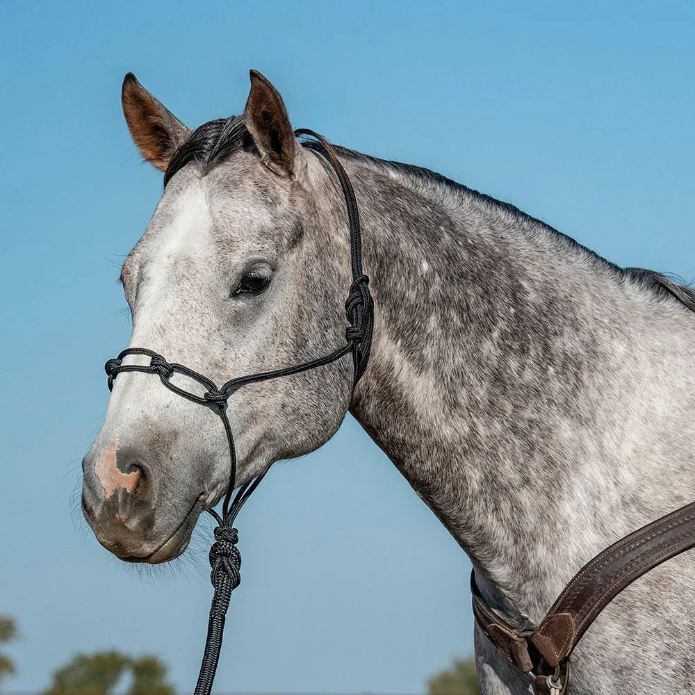 Classic Equine Black Chain Link Rope Halter