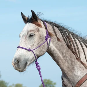 Classic Equine Purple Halter with 9` Lead