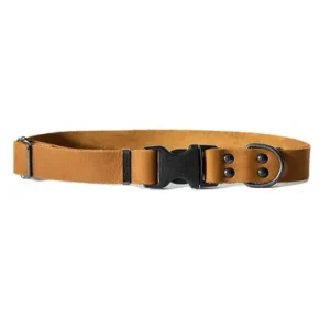 Classy Dog Luxury Sport Style Leather Dog Collar
