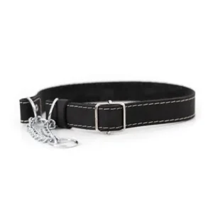 Classy Martingale Style Black Leather Dog Collar