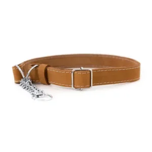 Classy Martingale Style Tan Leather Dog Collar