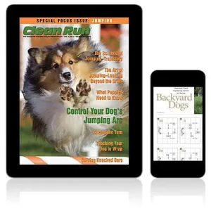 Clean Run Special Focus Issue on Jumping E