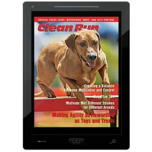 Clean Run Special Focus Issue on Motivation, Drive,and Self