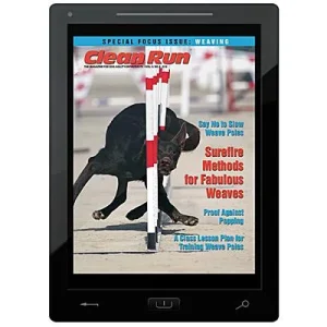 Clean Run Special Focus Issue on Weaving E