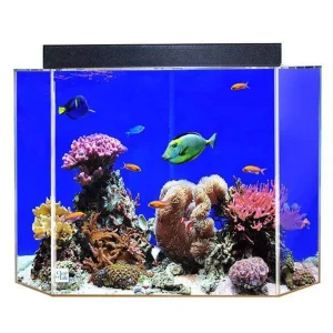 Clear-for-Life 125-Gallon 36″Lx36″Wx30″H Pentagon Acrylic Uniquarium
