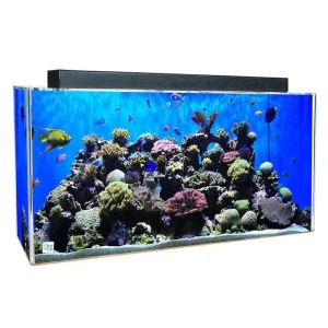 Clear for Life Rectangle 55 Gallon Acrylic Aquarium – Fresh or Saltwater