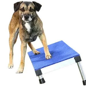 Clip and Go Agility VersaFit Plank