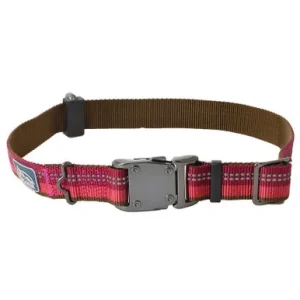 Coastal K9 Explorer 1" Adj Collar Berry Red (18-26")