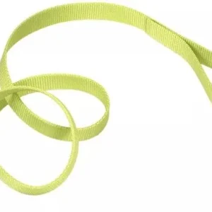 Coastal Pet Single-Ply Nylon Dog Leash Lime Green